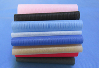 嘉荫涤纶（PET）无纺布是什么